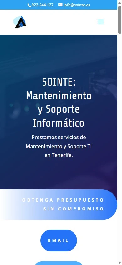 Sointe's previous mobile website, before the redesign