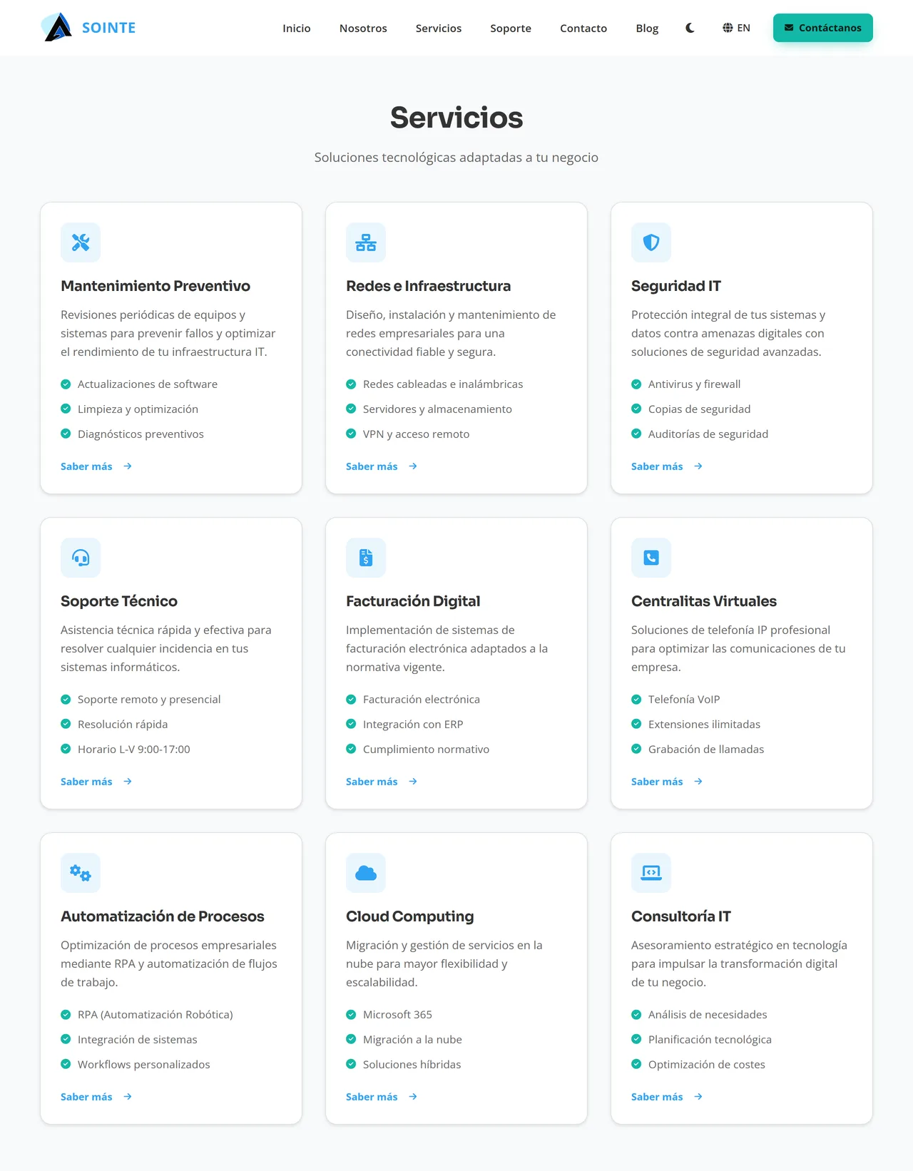 Sointe website inner section — services and experience